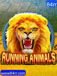 Explorando o Mundo Vibrante e Acelerado de RunningAnimals